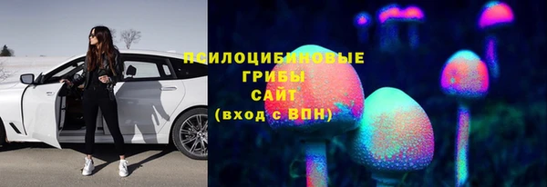 мет Белокуриха