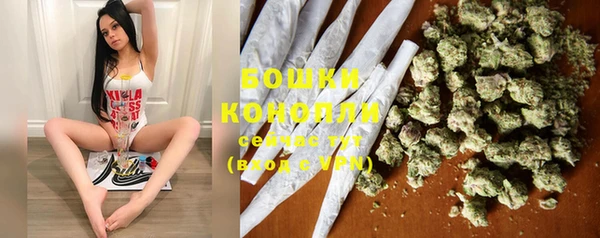 мяу мяу мука Беломорск