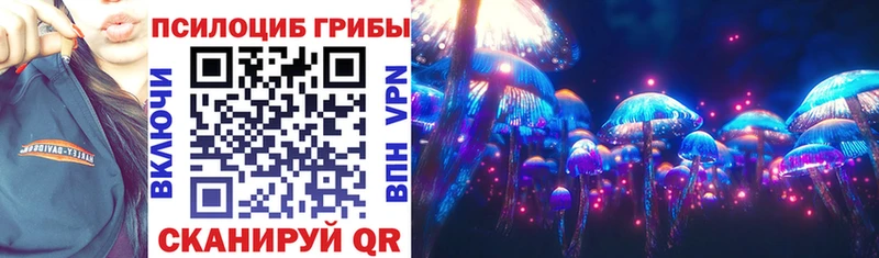 что такое Болхов Галлюциногенные грибы Psilocybe