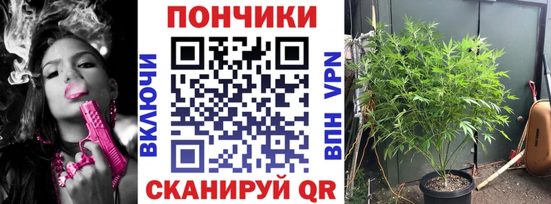 где можно купить наркотик  Болхов  omg вход  нарко площадка наркотические препараты  Конопля SATIVA & INDICA 